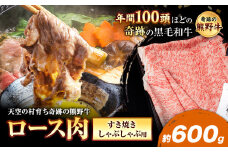 熊野牛 ロースすき焼きしゃぶしゃぶ用 約600g 有限会社松牛《30日以内に出荷予定(土日祝除く)》 和歌山県 岩出市 希少 肉 牛肉 熊野牛 送料無料 しゃぶしゃぶ ロース すき焼き x-1