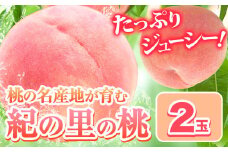 桃 もも 和歌山県産 2玉 《2026年6月中旬-8月中旬頃出荷》 紀の里の桃 送料無料 旬の桃を厳選 モモ 果物 フルーツ お取り寄せ 和歌山 2026年先行予約 送料無料  白鳳 日川白鳳  なつっこ 清水白桃 川中島白桃  八旗白桃 ギフト 果物 くだもの フルーツ お取り寄せ 