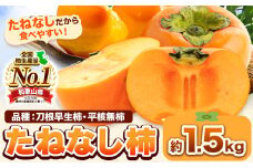 たねなし柿（刀根早生柿・平核無柿）約1.5kg《2025年9月中旬-11月上旬頃出荷(土日祝除く)》 和歌山県 岩出市 種なし柿 柿 果物 フルーツ 2L～Mサイズ カキ 