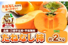 たねなし柿（刀根早生柿・平核無柿）約2kg《2025年9月中旬-11月上旬頃出荷(土日祝除く)》 和歌山県 岩出市 種なし柿 柿 果物 フルーツ 2L～Mサイズ カキ 