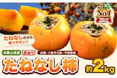 和歌山県産 訳あり たねなし柿（刀根早生柿・平核無柿）約2kg 《2025年9月中旬-11月上旬頃出荷(土日祝除く)》 和歌山県 岩出市 訳あり ご家庭用 種なし柿 柿 果物 フルーツ カキ 