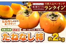 和歌山県産 訳あり たねなし柿（刀根早生柿・平核無柿）約2kg 《2025年9月中旬-11月上旬頃出荷(土日祝除く)》 和歌山県 岩出市 訳あり ご家庭用 種なし柿 柿 果物 フルーツ カキ 