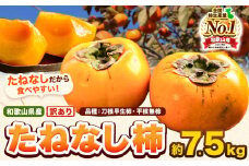 和歌山県産 訳あり たねなし柿（刀根早生柿・平核無柿）約7.5kg 《2025年9月中旬-11月上旬頃出荷(土日祝除く)》 和歌山県 岩出市 訳あり ご家庭用 種なし柿 柿 果物 フルーツ カキ 
