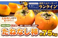 和歌山県産 訳あり たねなし柿（刀根早生柿・平核無柿）約7.5kg 《2025年9月中旬-11月上旬頃出荷(土日祝除く)》 和歌山県 岩出市 訳あり ご家庭用 種なし柿 柿 果物 フルーツ カキ 