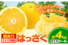 【訳あり/ご家庭用】はっさく 約4kg (4L~Sサイズ サイズ不選別) 早生･晩生指定不可《2月上旬-4月中旬に出荷予定(土日祝除く)》和歌山県 岩出市 産地直送 みかん 八朔 柑橘 果物 フルーツ ご家庭用 ビタミンC たっぷり 