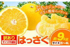 【訳あり/ご家庭用】はっさく 約9kg (4L~Sサイズ サイズ不選別) 早生･晩生指定不可《2月上旬-4月中旬に出荷予定(土日祝除く)》和歌山県 岩出市 産地直送 みかん 八朔 柑橘 果物 フルーツ ご家庭用 ビタミンC たっぷり 