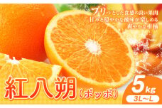 紅八朔（ポッポ） 5kg（3L～L）JAわかやま 紀の里地域本部《3月中旬-4月中旬頃出荷予定(土日祝除く)》和歌山県 岩出市 産地直送 みかん 八朔 柑橘 果物 フルーツ ビタミンC たっぷり 