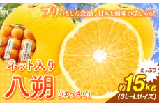 八朔（ネット入）約15kg（3L～Lサイズ）JAわかやま 紀の里地域本部《1月上旬-4月中旬に出荷予定(土日祝除く)》和歌山県 岩出市 産地直送 みかん 八朔 柑橘 果物 フルーツ ビタミンC たっぷり 