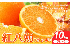 紅八朔（ポッポ）10kg（3L～L）JAわかやま 紀の里地域本部《3月中旬-4月中旬に出荷予定(土日祝除く)》和歌山県 岩出市 産地直送 みかん 八朔 柑橘 果物 フルーツ ビタミンC たっぷり