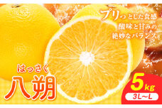 八朔 5kg（3L～L）JAわかやま 紀の里地域本部《1月上旬-4月中旬に出荷予定(土日祝除く)》和歌山県 岩出市 産地直送 みかん 八朔 柑橘 果物 フルーツ ビタミンC たっぷり