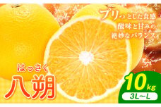 八朔 10kg（3L～L）JAわかやま 紀の里地域本部《1月上旬-4月中旬に出荷予定(土日祝除く)》和歌山県 岩出市 産地直送 みかん 八朔 柑橘 果物 フルーツ ビタミンC たっぷり