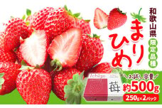 いちご まりひめ 約500g (250g×2パック) JAわかやま 紀の里地域本部《2月中旬-4月中旬頃出荷》和歌山県 岩出市 イチゴ 苺 いちご まりひめ 果物 くだもの フルーツ お試し パック 