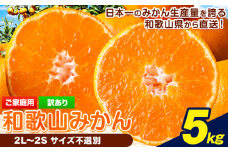 【先行予約】【訳あり/サイズ不選別】 和歌山みかん 約5kg 和歌山県産 《2025年11月中旬-1月中旬頃出荷》たっぷり ご家庭用 2L～2S 産地直送 みかん 旬 蜜柑 ミカン 柑橘 果物 フルーツ 和歌山県 岩出市 
