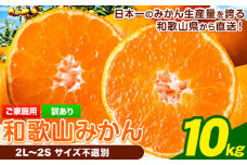 【先行予約】【訳あり/サイズ不選別】 和歌山みかん 約10kg 和歌山県産 《2025年11月中旬-1月中旬頃出荷》たっぷり ご家庭用 2L～2S 産地直送 みかん 旬 蜜柑 ミカン 柑橘 果物 フルーツ 和歌山県 岩出市 