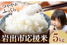 米 こめ 岩出市応援米 約5kg 《30日以内に出荷予定(土日祝除く)》 和歌山県 岩出市 お米