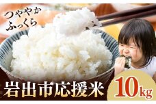 米 こめ 岩出市応援米 約10kg 《30日以内に出荷予定(土日祝除く)》 和歌山県 岩出市 お米