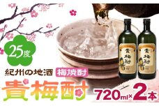 紀州の地酒 貴梅酎 きばいちゅう 25度 720ml×2本 エバグリーン 中野BC株式会社《30日以内に出荷予定(土日祝除く)》和歌山県 岩出市 酒 お酒 地酒 梅焼酎