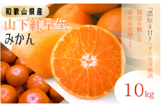 【先行予約】秀品 「紅娘」 温州 みかん 山下紅早生 10kg 【S~2Lサイズおまかせ】【2025年11月下旬～2025年12月中旬までに順次発送】＜味好農園＞ /温州みかん みかん 蜜柑 柑橘 山下早生 早生 秀品 紅早生 フルーツ 果物 くだもの 希少【agy002】