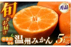 [和歌山県産] 旬をお届け！ 季節の「 温州 みかん 」 5kg ※箱込み 秀品 (極早生・早生・中生・晩稲)【M~2Lサイズおまかせ】【2025年10月中旬～2026年2月下旬までに順次発送】＜味好農園＞/ 蜜柑 柑橘 果物 フルーツ みかん 早生 極早生 中生 晩稲 【agy003A】