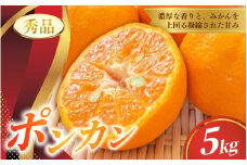 秀品 ポンカン 5kg ※箱込み【S~2Lのサイズおまかせ】【2026年1月下旬から2月中旬頃に順次発送】＜味好農園＞/ ぽんかん 蜜柑 みかん 柑橘 果物 フルーツ 【agy009B】