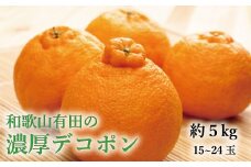 みかん 蜜柑 フルーツ 果物 デコポン 不知火 【大人気】和歌山有田の濃厚デコポン　15～24玉(約5kg)　※2025年1月中旬～3月下旬頃に順次発送/【ard005B】