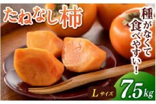 【先行予約】【JAわかやま】Lサイズ たねなし柿 約7.5kg 【2025年9月下旬～10月下旬に順次発送致します。】  種なし 種無し タネなし 柿 かき カキ フルーツ 果物 人気 旬 秋の味覚【jan001】