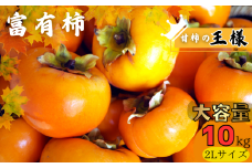 【先行予約】【JAわかやま】2Lサイズ 富有柿 10kg【2025年11月中旬～12月上旬に順次発送致します。】 柿 かき カキ フルーツ 果物 人気 旬【jan004A】