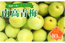 【先行予約】【数量限定】L～2Lサイズおまかせ 和歌山県産 南高青梅 10kg【2025年6月中旬より順次発送致します。】【JAながみね】/ 青梅 梅 南高梅 【jan005】