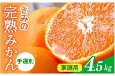  あま～い！ カツオの有機肥料が味の決め手！ 「きみの完熟ミカン」 約4.5kg (40~60個程度) サイズ混合 2S~L ご家庭用(秀優混合)/みかん ミカン 柑橘 和歌山県 有機 手選別 【kmf001A】