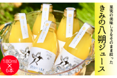  きみの八朔ジュース 180mL×6本 / 果汁 ジュース 八朔ジュース オレンジジュース  ドリンク セット 有機 無添加 100% 【kmf006】