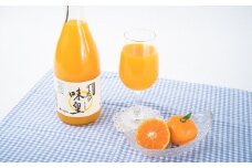  有田みかんの味皇（あじおう）720ml×3本/みかん みかんジュース 有田みかん 【kjk100】