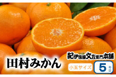  田村みかん 5kg 秀品【小玉サイズ】 / 紀州和歌山有田郡湯浅町田村地区産 ◆2025年11月下旬～2026年1月中旬頃に発送(お届け日指定不可)　紀伊国屋文左衛門本舗 / 田村みかん みかん 蜜柑 柑橘 果物 フルーツ 【kmtb306B】