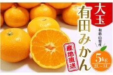 【先行予約】＼ みかんの名産地 和歌山県産／ 農家直送 大玉 有田みかん 5kg （2L～3L） ひとつひとつ手選別で厳選【2025年11月下旬頃発送予定】/ みかん くだもの 果物 和歌山 フルーツ オレンジ 有田みかん ミカン 有田【hdm001-1A】