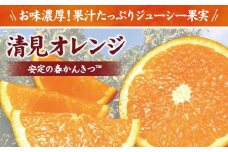  清見オレンジ約5kg / 果実サイズおまかせ ※2025年2月中旬～4月下旬頃発送予定　紀伊国屋文左衛門本舗 / みかん 蜜柑 柑橘 清見オレンジ オレンジ みかん フルーツ 果物 【kmtb400A】