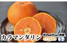 カラマンダリン 約5kg/サイズおまかせ　※2025年4月上旬～5月上旬頃に順次発送予定(お届け日指定不可)　紀伊国屋文左衛門本舗 / カラマンダリン みかん 蜜柑 柑橘 果物 フルーツ 【kmtb470】