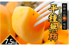  和歌山秋の味覚 平核無柿（ひらたねなしがき） 約7.5kg　※2025年10月上旬頃～10月下旬頃順次発送（お届け日指定不可）/柿 果物 フルーツ くだもの 先行予約【uot700A】