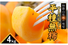  和歌山秋の味覚　平核無柿（ひらたねなしがき）約4kg　化粧箱入　※2025年10月上旬頃～10月下旬頃順次発送（お届け日指定不可）/柿 果物 フルーツ くだもの 先行予約【uot701A】