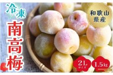  紀美野町産 冷凍南高梅 ２Lサイズ1.5キロ / 南高梅 梅 うめ 冷凍 和歌山 梅ジャム 梅酒 梅シロップ 大粒【twn003C】