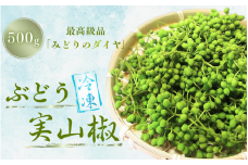  冷凍 ぶどう 生実山椒 500g / 山椒 さんしょう 香辛料 調味料 薬味 冷凍 ぶどう山椒 生山椒 和歌山県 紀美野町 生実山椒【twn006C】