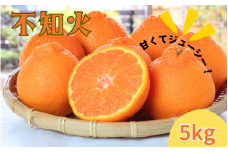  紀州有田産不知火(しらぬひ) 約5kg　※2026年2月中旬頃〜2026年3月中旬頃に順次発送予定(お届け日指定不可)/ みかん 蜜柑 フルーツ 果物 くだもの しらぬい【uot709A】
