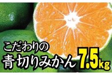 【2025年秋頃発送予約分】【農家直送】こだわりの青切りみかん 約7.5kg サイズお任せ 有機質肥料100%　※2025年9月下旬より順次発送予定（お届け日指定不可）/ミカン 蜜柑 柑橘 フルーツ くだもの 果物 【nuk107D】