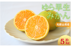  【10月からお届け！】＼光センサー選別／＼農家直送／甘くて濃厚！希少品種 ご家庭用 ゆら早生みかん　約5kg　サイズ混合　※2025年10月末で申込締切 /ミカン 蜜柑 柑橘 フルーツ くだもの 果物 早生 温州 【nuk109D】