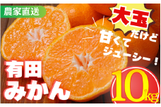 ＼在庫限り／更に年末年始発送受付！【農家直送】有田みかん　約10kg  大玉3L以上 有機質肥料100%　※年末年始に発送(お届け日指定不可) ※北海道・沖縄・離島への配送不可 / ミカン 蜜柑 柑橘 フルーツ くだもの 果物 早生 温州 有田 【nuk139D】