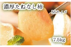 【和歌山ブランド】 濃厚たねなし柿　秀品　Mサイズ　約7.5kg入り ※2025年10月上旬頃～11月上旬頃次発送予定 / 種なし 種無し タネなし 柿 フルーツ 果物 人気 旬【ard011C】