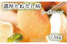 柿 カキ 果物 種なし 【秋の美味】【和歌山ブランド】 濃厚たねなし柿　秀品　L～4Lサイズ　約7.5kg入り ※2025年10月上旬頃～11月上旬頃順次発送予定 / 種なし 種無し タネなし 柿 かき カキ フルーツ 果物 人気 旬【ard012C】