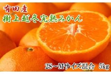  【濃厚・まろやか】有田産樹上越冬完熟みかん5kg（2S～Mサイズ混合・秀品）※2026年1月下旬頃～2月中旬頃頃発送予定 / 果物 くだもの フルーツ 蜜柑 みかん 【tec873B】