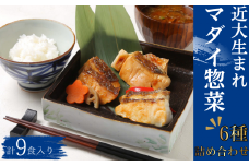 【レンジで簡単！】近大生まれマダイ惣菜 6種詰合せ（計9食入）おかず お惣菜 西京漬け 近畿大学 詰め合わせ セット【akd011A】
