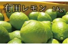 【国産】紀州和歌山　有田レモン 約1kg　※北海道・沖縄・離島配送不可 / 檸檬 柑橘 フルーツ 果物 くだもの 旬【ard030A】