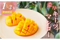 【希少マンゴー】濃厚キーツマンゴー　約800g(1～3玉) ※2025年9月下旬～10月下旬頃に順次発送 / 国産 和歌山県 フルーツ 果物 くだもの 旬【ard041B】