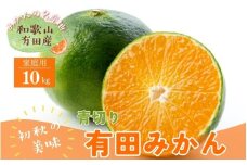 ＜9月中旬～＞【先行予約】有田育ちのご家庭用青切り有田みかん 10kg ※着日指定不可 ※沖縄・離島は配送不可 ※2025年9月中旬～10月中旬頃に順次発送予定【ard046C】